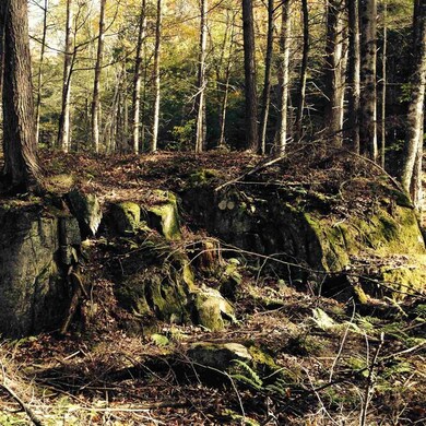 50 Barnett Rd, Fairfax, VT 05454 - photo 7