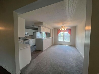 595 Willow Green Dr, Conway, SC 29526 - photo 5