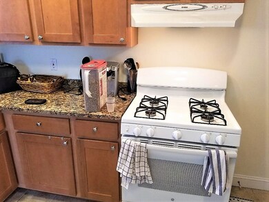 183 Warren St, Watertown, MA 02472 - photo 5