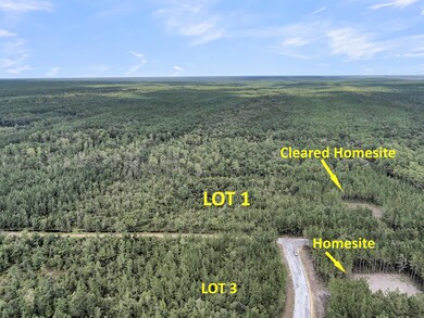 759 Deas Hill Rd, McClellanville, SC 29458 - photo 6