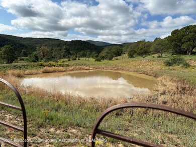 1 OF 2 DIRT WATER TANKS