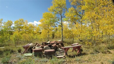 1044 Buffalo Ridge Rd, Como, CO 80432 - photo 6