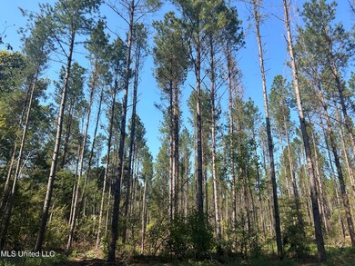 0 Rails Rd, Georgetown, MS 39078 - photo 6