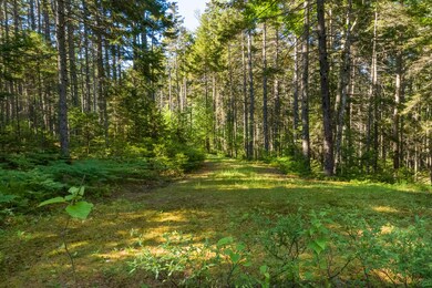 (22)_99 Deaver Rd. Waldoboro, ME(MAPS)