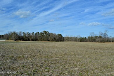 60.61 Acre Hwy 117 S, Burgaw, NC 28425 - photo 2