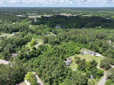 Bird's eye view featuring a view of trees