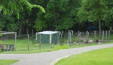 Cokato Lake RV Resort's enjoyment watching the baby goats jump and kick, the sheep and lambs frolicking.