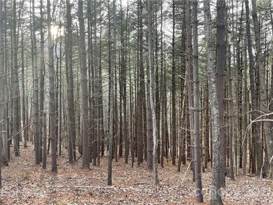 29 Tallwood Rd, Leicester, NC 28748 - photo 2