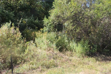 0 Trout Brook Rd unit KEY914251, Fremont, NY 12776 - photo 7