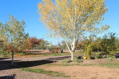 45732 Arizona 188, Tonto Basin, AZ 85553 - photo 6