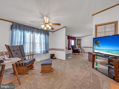 117 W Spruce St, Palmyra, PA 17078 - photo 6