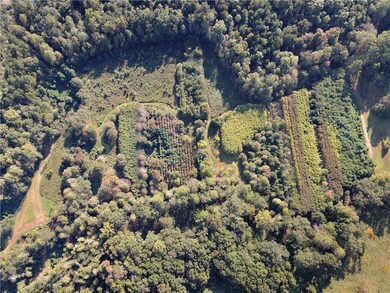 00 Tree Farm Rd, Walhalla, SC 29691 - photo 3