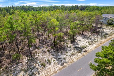 6-web-or-mls-1556-salamander-trail