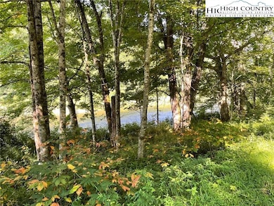 LARGE AREA ON RIVER FOR PICNIC AREAS, KAYAK STORAGE,HAMMOCKS, ETC.