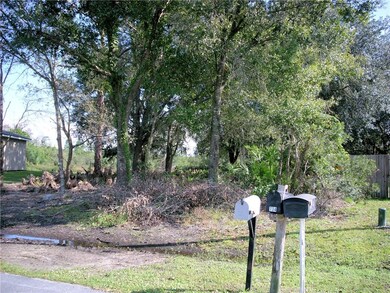 Right edge of photo shows Neighbor's fence.  Left edge is Neighbor's new house, 2019.