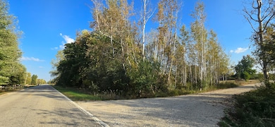 8692 E Baseline Rd, Mount Pleasant, MI 48858 - photo 5