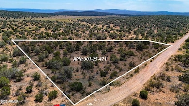 TBD Waterloo Way 1 83 Acres --, Seligman, AZ 86337 - photo 4