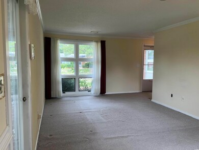 Unfurnished room with crown molding and carpet