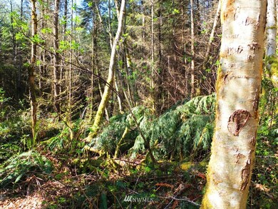 unlisted-address, Stanwood, WA 98292 - photo 4