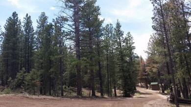 1010 N Pine Knoll Loop unit SCP 1-4-73, Duck Creek Village, UT 84762 - photo 2