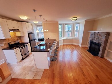 105 E Brookline St unit 4, Boston, MA 02118 - photo 4