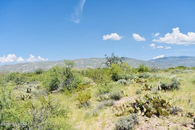 Coyote Creek