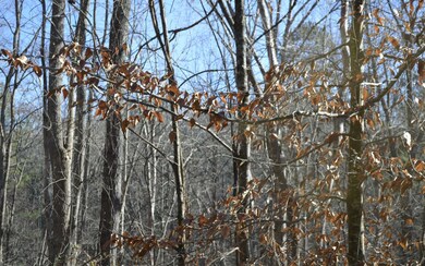 Additional View