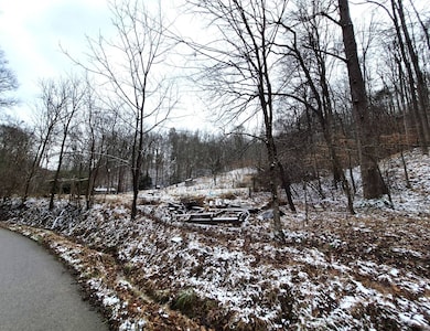 3085 Sycamore Run Rd, Glenville, WV 26351 - photo 3