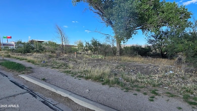 3.71 acres N Bisbee Ave unit 2, Willcox, AZ 85643 - photo 5