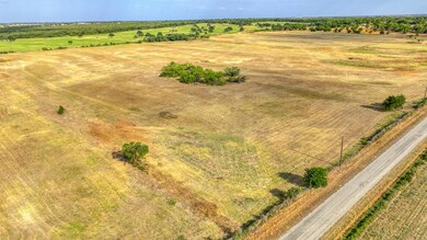 Lot 11 Pine Rd, Poolville, TX 76487 - photo 5