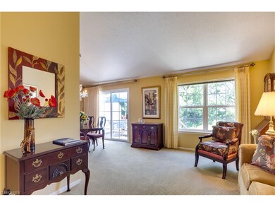 Spacious light and airy great room with vaulted ce