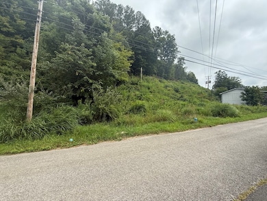 00 Kennedy Dr, Chavies, KY 41727 - photo 6