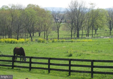 15812 Purcellville Rd, Purcellville, VA 20132 - photo 5