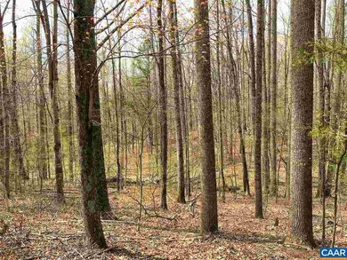 3255 Welsh Run Rd, Ruckersville, VA 22968 - photo 5