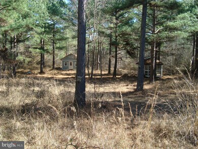 0 Governors Point Ln unit 1000184063, Unionville, VA 22567 - photo 6