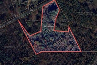 RTE 864 Old Ferrum Rd, Ferrum, VA 24088 - photo 7