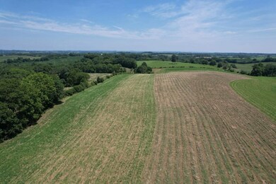 7370 Energy Rd, Ewing, KY 41039 - photo 6