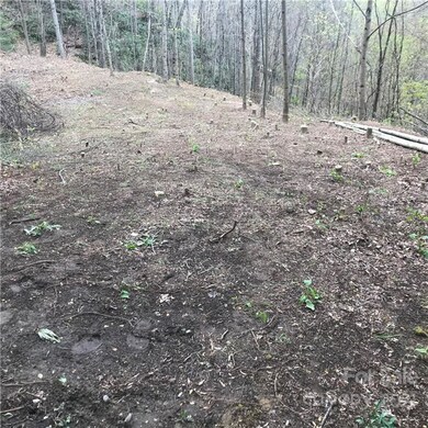 Second view of the house path. Ready for a building.