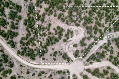 10286 Pioneer Trc, Nathrop, CO 81236 - photo 7