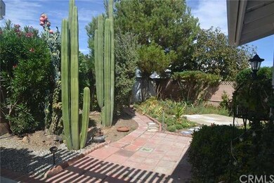 A BACKYARD WITH VARIOUS PLANTS & TREES