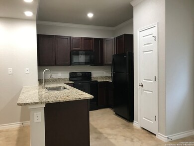 16905 Spirit Brook unit 2, Selma, TX 78154 - photo 3