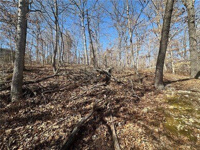 .34 Acres Carpenter Ln, Bella Vista, AR 72715 - photo 7