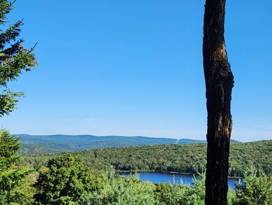 504 Case Ln, Readsboro, VT 05350 - photo 2