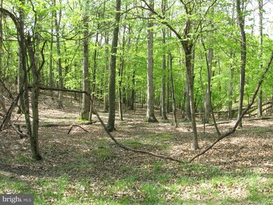 0 Tranquil Way unit WVMO115228, Great Cacapon, WV 25422 - photo 6