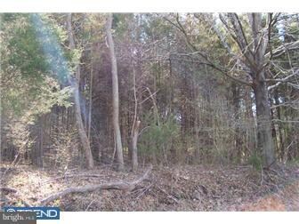 0 Geryville Pike unit 1003826534, Pennsburg, PA 18073 - photo 7