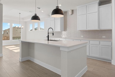 138 Ash Juniper Rd, Georgetown, TX 78633 - photo 6