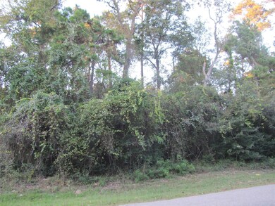 0 Sentinel Oaks, Pinehurst, TX 77362 - photo 2