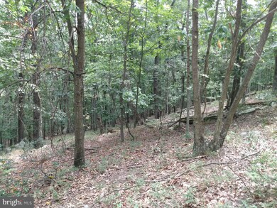 0 Roberts Ln unit WVMO2000484, Great Cacapon, WV 25422 - photo 5