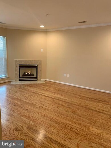 6267 Wild Swan Way, Columbia, MD 21045 - photo 7