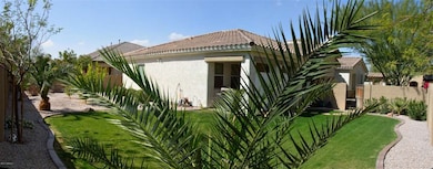 Backyard Pano